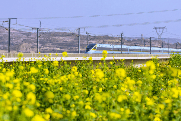 From War Tracks to High-Speed Future: China’s Railway Revival 🚄✨ From War Tracks to High-Speed Future: China's Railway Revival 🚄✨