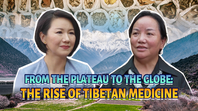 🌿 From Himalayas to the World: Tibetan Medicine’s Global Surge 🌿 From Himalayas to the World: Tibetan Medicine’s Global Surge video poster