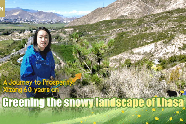 Xizangโs 60-Year Journey: From Peaks to Prosperity ๐โจ Xizangโs 60-Year Journey: From Peaks to Prosperity ๐โจ video poster