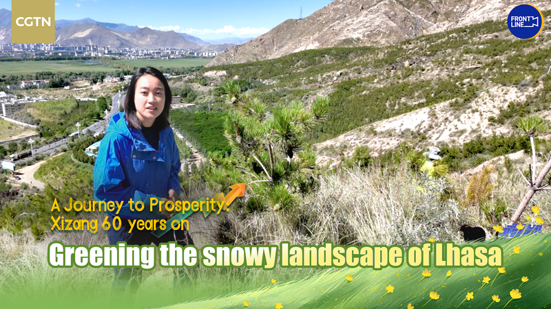 Xizang’s 60-Year Journey: From Peaks to Prosperity 🌄✨ video poster