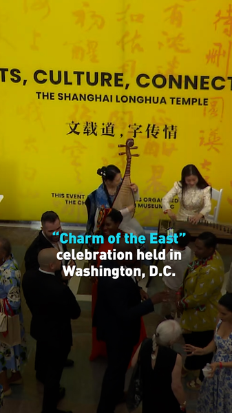 East Meets West: D.C. Celebrates Chinese Culture & Veggie Delights 🌏🥢 video poster