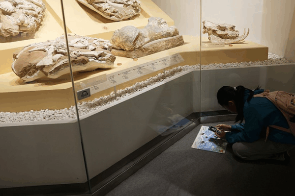 Beijing’s High-Tech Makeover for Ancient Relics 🏛️💡 Beijing's High-Tech Makeover for Ancient Relics 🏛️💡