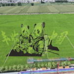 28TI2A3N58VK5GX5KTZC - 🌍NewspaperAmigo – Your Global News Buddy 🗞️ Rice Paddy Art Blooms in Xinjiang 🌾🎨 video poster