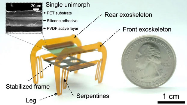 2BGDLNQEPV8BU1HQVIJZ - 🌍NewspaperAmigo – Your Global News Buddy 🗞️ Chinese Scientists Unveil 'Electronic Cockroach' Microbot 🚀