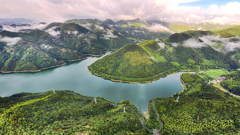 China’s Green Vision Sparks Eco-Revolution in Africa 🌱🌍 China's Green Vision Sparks Eco-Revolution in Africa 🌱🌍