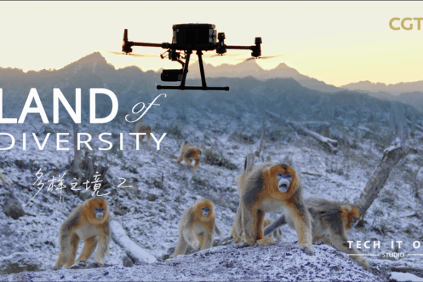 Monkeys Get High-Tech ‘Face ID’ in Conservation Breakthrough ๐๐ Monkeys Get High-Tech 'Face ID' in Conservation Breakthrough ๐๐ video poster