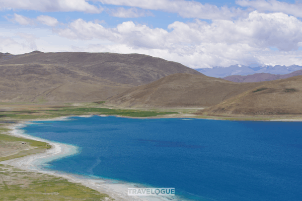 Yaks & Barley: Xizang’s Highland Harmony 🌾✨ Yaks & Barley: Xizang’s Highland Harmony 🌾✨