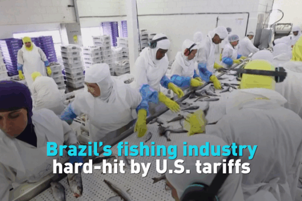U.S. Tariffs Rock Brazil’s Fishing Industry 🎣💥 U.S. Tariffs Rock Brazil’s Fishing Industry 🎣💥 video poster