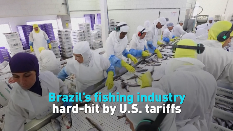 4TUBZCGMFZ6NVZ1DWP9P - 🌍NewspaperAmigo – Your Global News Buddy 🗞️ U.S. Tariffs Rock Brazil’s Fishing Industry 🎣💥 video poster