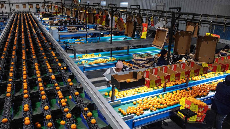 Trump’s Tariff Turmoil Shakes Global Markets 🌍💸