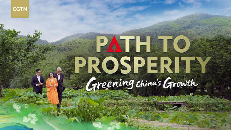 84C7TEKPRIEC4V0QRRFQ - 🌍NewspaperAmigo – Your Global News Buddy 🗞️ China’s Green Revolution: From Bamboo Forests to Desert Dreams 🌱🏜️ video poster
