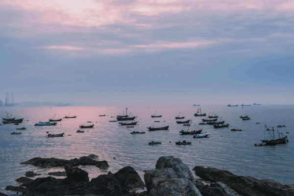 🌍 Youth Vision: UN’s 80th Anniversary Sparks Global Creativity