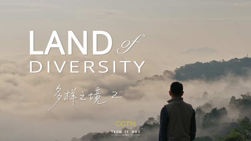 🌿 Humans & Nature: The Untold Story in ‘Land of Diversity II’ 🌿 Humans & Nature: The Untold Story in 'Land of Diversity II' video poster