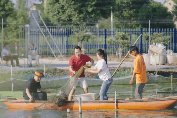 Tech Meets Tradition: Albino Crabs Thrive in Lake Taihu 🌊🦀 Tech Meets Tradition: Albino Crabs Thrive in Lake Taihu 🌊🦀 video poster