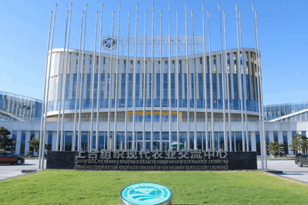 🌱 Yangling: SCO’s Agri-Tech Hub Bridging Global Farmers 🌱 Yangling: SCO's Agri-Tech Hub Bridging Global Farmers