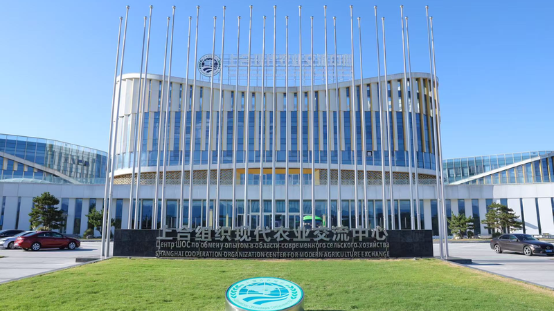 🌱 Yangling: SCO's Agri-Tech Hub Bridging Global Farmers