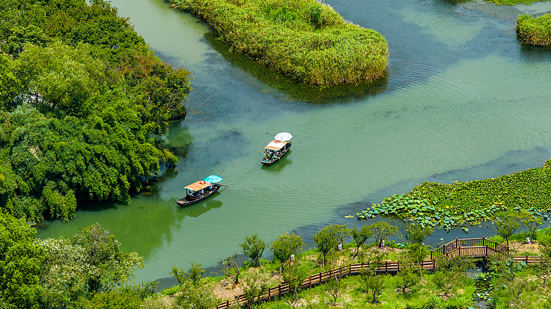 Discover Serenity at Xixi: China’s First National Wetland Park 🌿✨ Discover Serenity at Xixi: China’s First National Wetland Park 🌿✨ video poster
