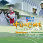 A3YSRH98Z32OCZ454G9Y - 🌍NewspaperAmigo – Your Global News Buddy 🗞️ 🌱 China’s Green Revolution: Bamboo, Clean Energy & Hidden Heroes video poster