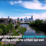 A87SOGV4XPRWOODWFX4V - 🌍NewspaperAmigo – Your Global News Buddy 🗞️ Chicago Blossoms into a Greener Urban Oasis 🌳🏙️ video poster