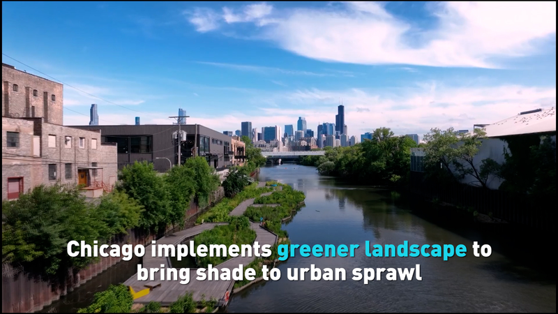 Chicago Blossoms into a Greener Urban Oasis 🌳🏙️ video poster