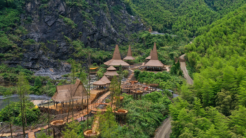 🌱 China’s Carbon Market Turns Bamboo Forests into ‘Green Gold’ 💰 🌱 China’s Carbon Market Turns Bamboo Forests into 'Green Gold' 💰