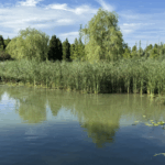 ABF14WQAALU5JDDFBQZ6 - 🌍NewspaperAmigo – Your Global News Buddy 🗞️ Beijing’s Wenyu River Park: From Pollution to Urban Oasis 🌿🏙️ video poster