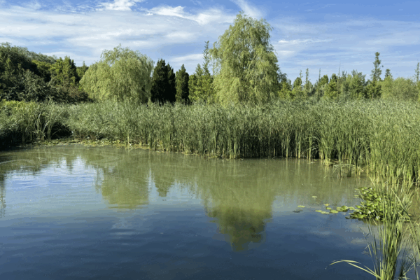 Beijing’s Wenyu River Park: From Pollution to Urban Oasis 🌿🏙️ Beijing’s Wenyu River Park: From Pollution to Urban Oasis 🌿🏙️ video poster