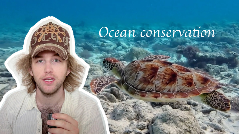 🌊 American Vlogger Urges Global Unity to Save Our Oceans #UN80 video poster