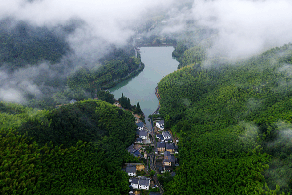 Escape the Heat: Discover Mogan Mountain’s Hidden Summer Gem 🌿🏞️ Escape the Heat: Discover Mogan Mountain’s Hidden Summer Gem 🌿🏞️ video poster