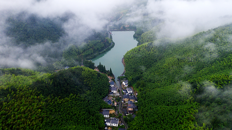Escape the Heat: Discover Mogan Mountain’s Hidden Summer Gem 🌿🏞️ video poster