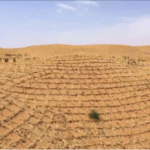 AKN2YCTNQUK3231US5UO - 🌍NewspaperAmigo – Your Global News Buddy 🗞️ 🌱 China’s Straw Checkerboards Turn Deserts into Green Havens 🌍