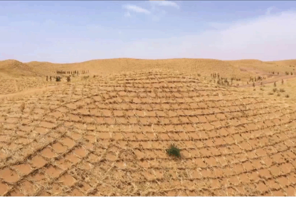 🌱 China’s Straw Checkerboards Turn Deserts into Green Havens 🌍 🌱 China’s Straw Checkerboards Turn Deserts into Green Havens 🌍