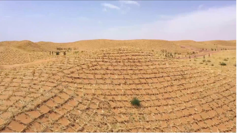 AKN2YCTNQUK3231US5UO - 🌍NewspaperAmigo – Your Global News Buddy 🗞️ 🌱 China’s Straw Checkerboards Turn Deserts into Green Havens 🌍