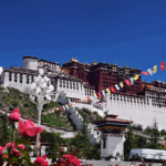 Xi Celebrates Xizang’s 60th Anniversary with Cultural Gala 🎉🇨🇳