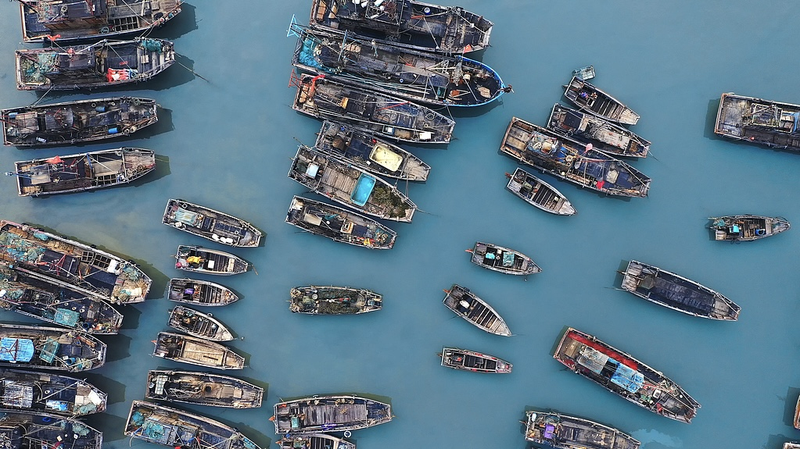 China’s Fishing Season Kicks Off with Coastal Celebrations 🎣🌊 China’s Fishing Season Kicks Off with Coastal Celebrations 🎣🌊 video poster