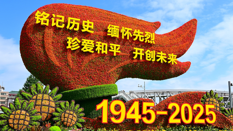 🇨🇳 CMG Goes Global: 85-Language Broadcast for Historic WWII Anniversary 🎥✨
