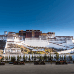 Xizang Celebrates 60 Years with Grand Gathering & President Xi 🌏✨ video poster