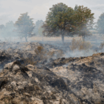 CSEI5KD6XYS4AKEGKOZL - 🌍NewspaperAmigo – Your Global News Buddy 🗞️ Russian Forces Push East as South Africa Urges Peace Talks 🌍✌️