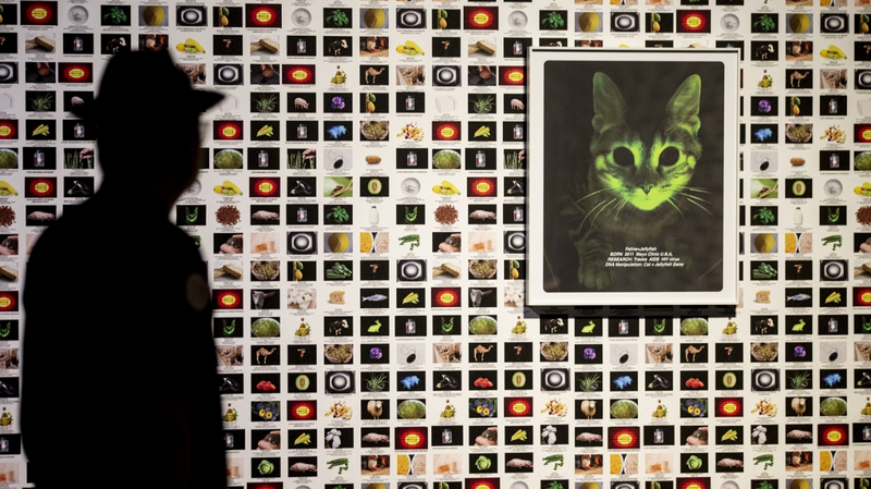 D1VT8ZKT829OVERCDU3U - 🌍NewspaperAmigo – Your Global News Buddy 🗞️ 🌿 Art Meets AI: New Exhibit Explores Human-Nature Bonds