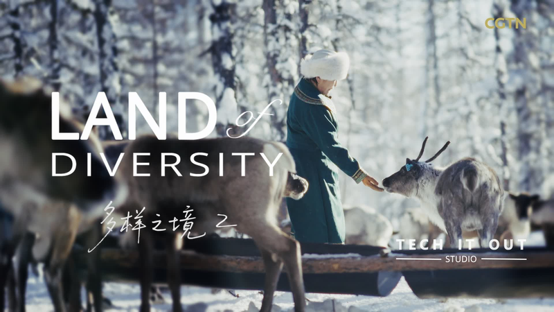 Reindeer Roam Free: Ancient Tradition Thrives in China’s Snowy Forests 🌲🦌 Reindeer Roam Free: Ancient Tradition Thrives in China’s Snowy Forests 🌲🦌 video poster