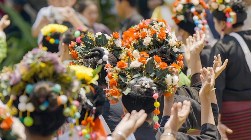 Ancient Tea Forests Unite Cultures for a Millennium 🌿✨