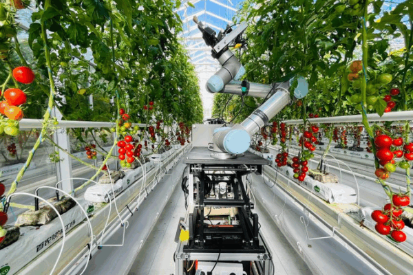 China Unveils World’s First AI-Powered Plant-Breeding Robot 🌱🤖 China Unveils World’s First AI-Powered Plant-Breeding Robot 🌱🤖