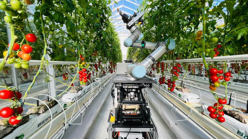FW63NL443E7H83K325F0 - 🌍NewspaperAmigo – Your Global News Buddy 🗞️ China Unveils World’s First AI-Powered Plant-Breeding Robot 🌱🤖