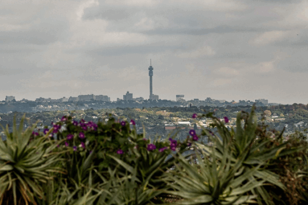 ๐ฟ๐ฆ South Africa Slams U.S. Human Rights Report as ‘Flawed’ ๐ ๐ฟ๐ฆ South Africa Slams U.S. Human Rights Report as 'Flawed' ๐