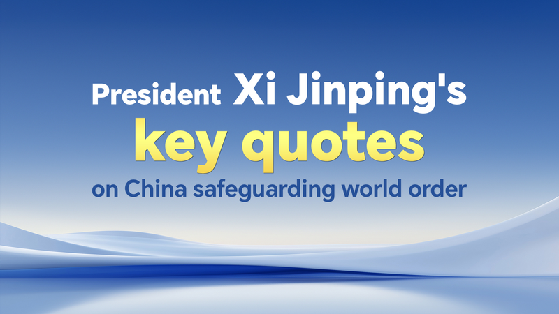 Xi Jinping Stresses Global Unity in Upholding World Order 🌐✊