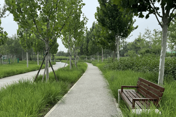 🌳 Beijing’s Industrial Wasteland Transforms into Urban Oasis! 🌳 Beijing’s Industrial Wasteland Transforms into Urban Oasis! video poster