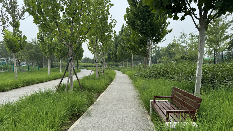 🌳 Beijing’s Industrial Wasteland Transforms into Urban Oasis! video poster