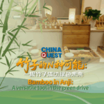 HP38AB4P3JLW1BPWVXG7 - 🌍NewspaperAmigo – Your Global News Buddy 🗞️ 🌱 Bamboo Boom: Anji’s Green Revolution Goes Viral! video poster