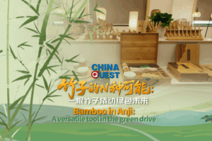 🌱 Bamboo Boom: Anji’s Green Revolution Goes Viral! video poster