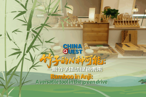 🌱 Bamboo Boom: Anji’s Green Revolution Goes Viral! 🌱 Bamboo Boom: Anji’s Green Revolution Goes Viral! video poster